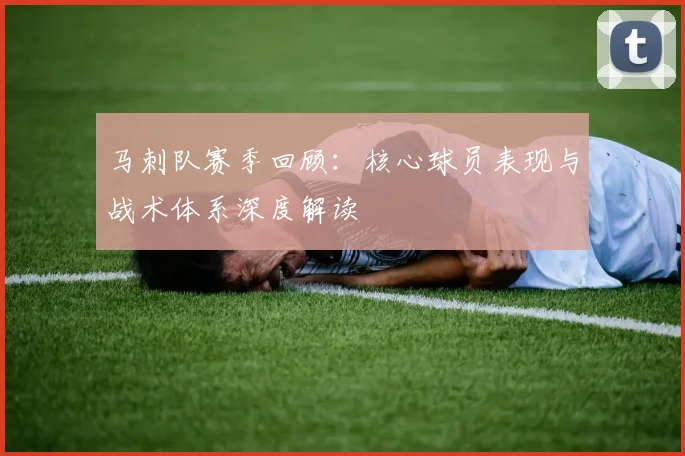 马刺队赛季回顾:核心球员表现与战术体系深度解读