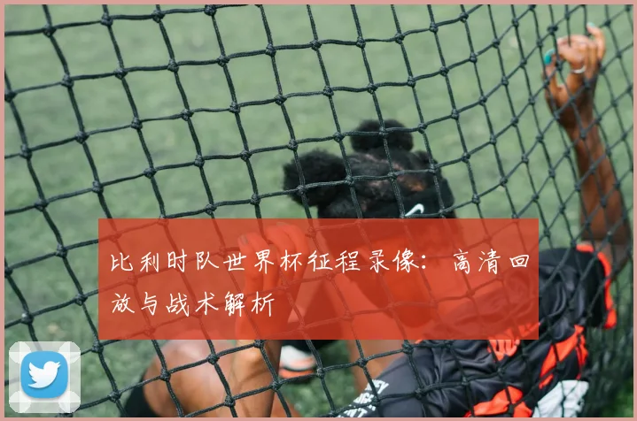比利时队世界杯征程录像:高清回放与战术解析