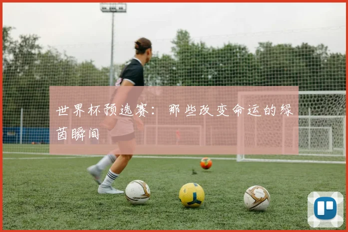 世界杯预选赛：那些改变命运的绿茵瞬间