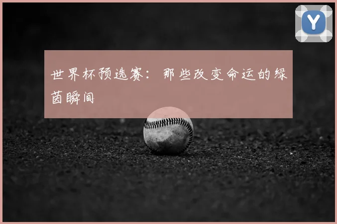 世界杯预选赛：那些改变命运的绿茵瞬间