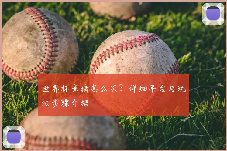 世界杯竞猜怎么买？详细平台与玩法步骤介绍