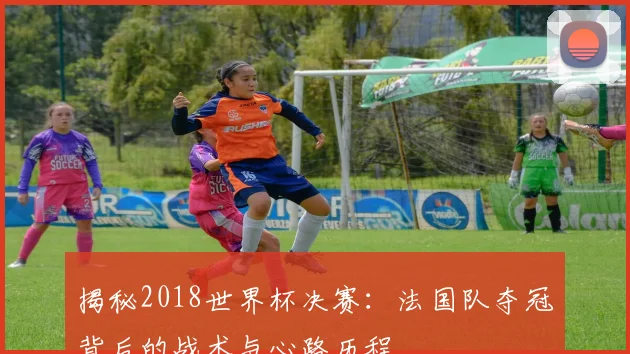 揭秘2018世界杯决赛：法国队夺冠背后的战术与心路历程