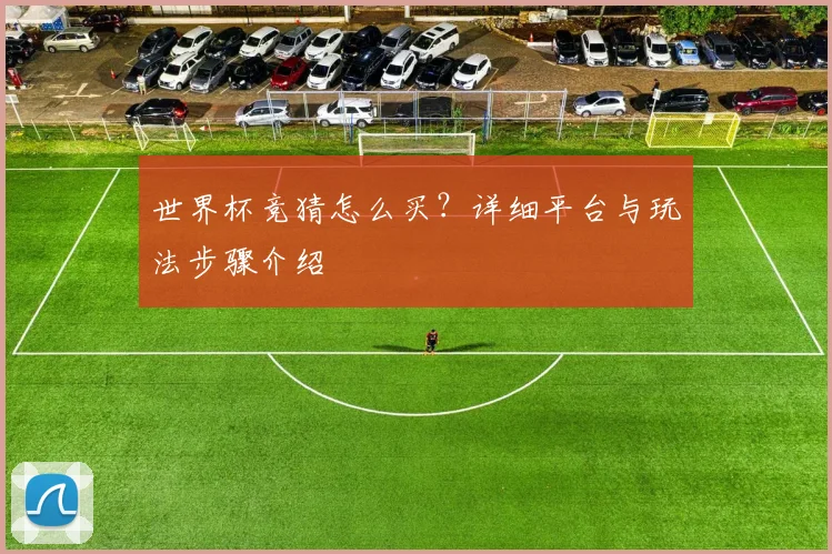 世界杯竞猜怎么买？详细平台与玩法步骤介绍