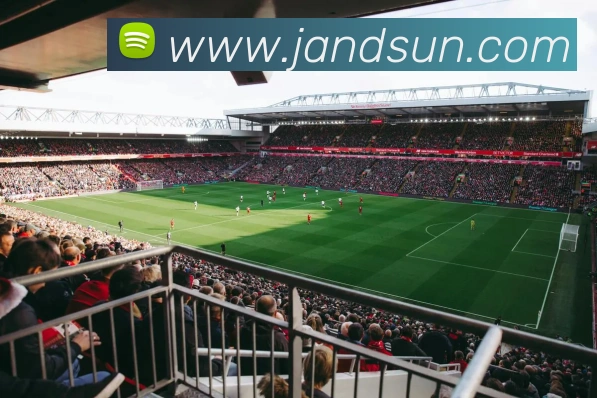 App Interface Preview